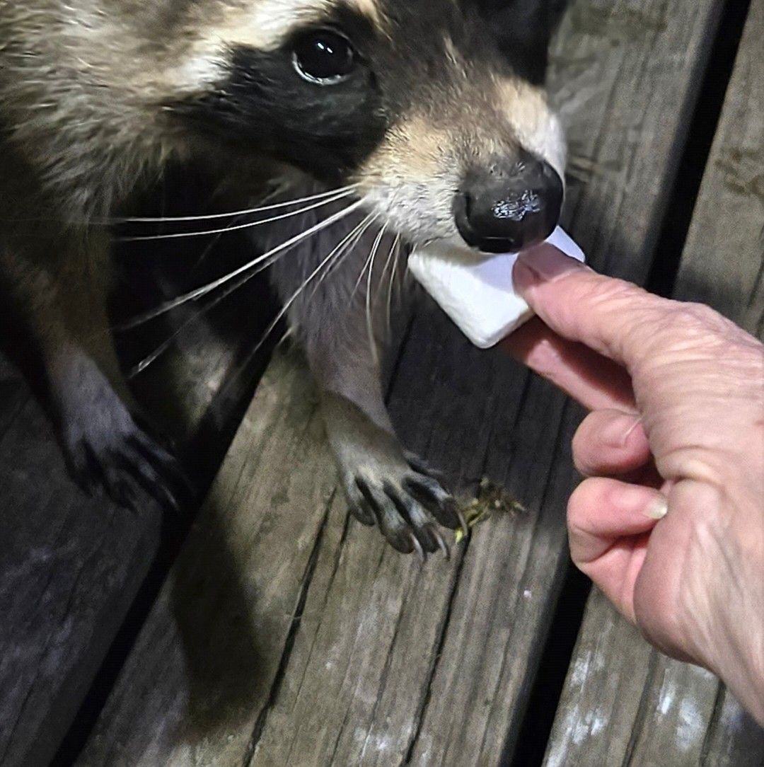 I may be over feeding lol | Facebook