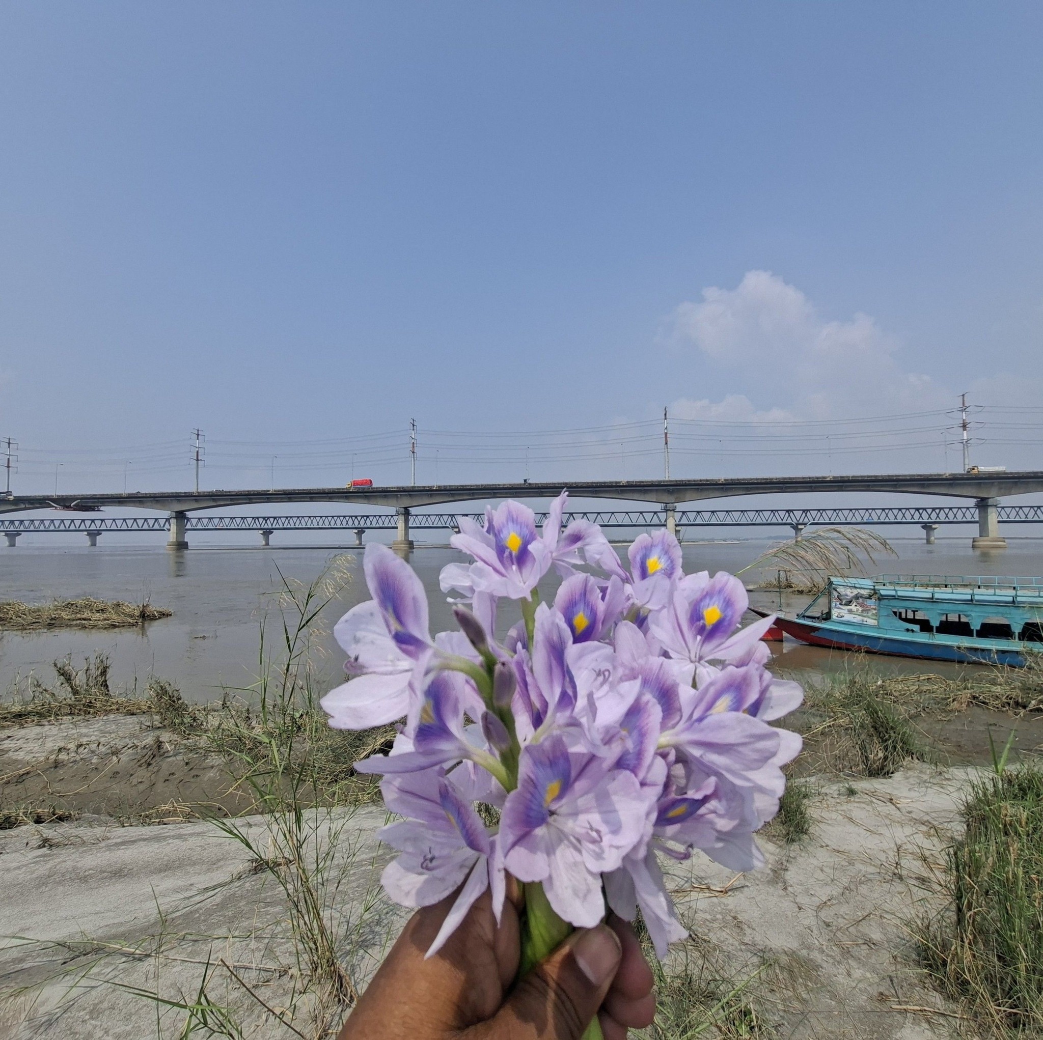 Md. Topu Raihan
