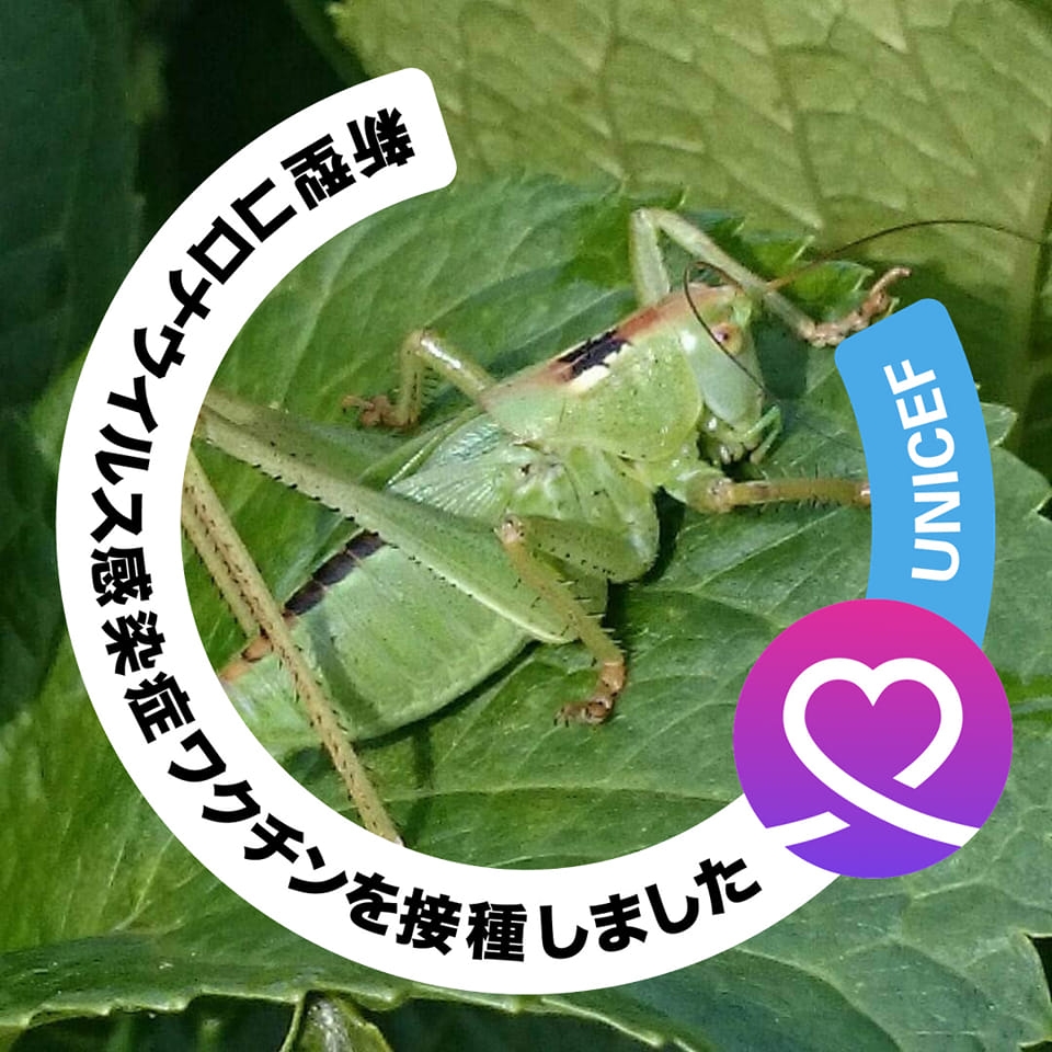 このゴール覚えてますか？ 「1993年の開幕戦全ゴール」 5月15日は #J