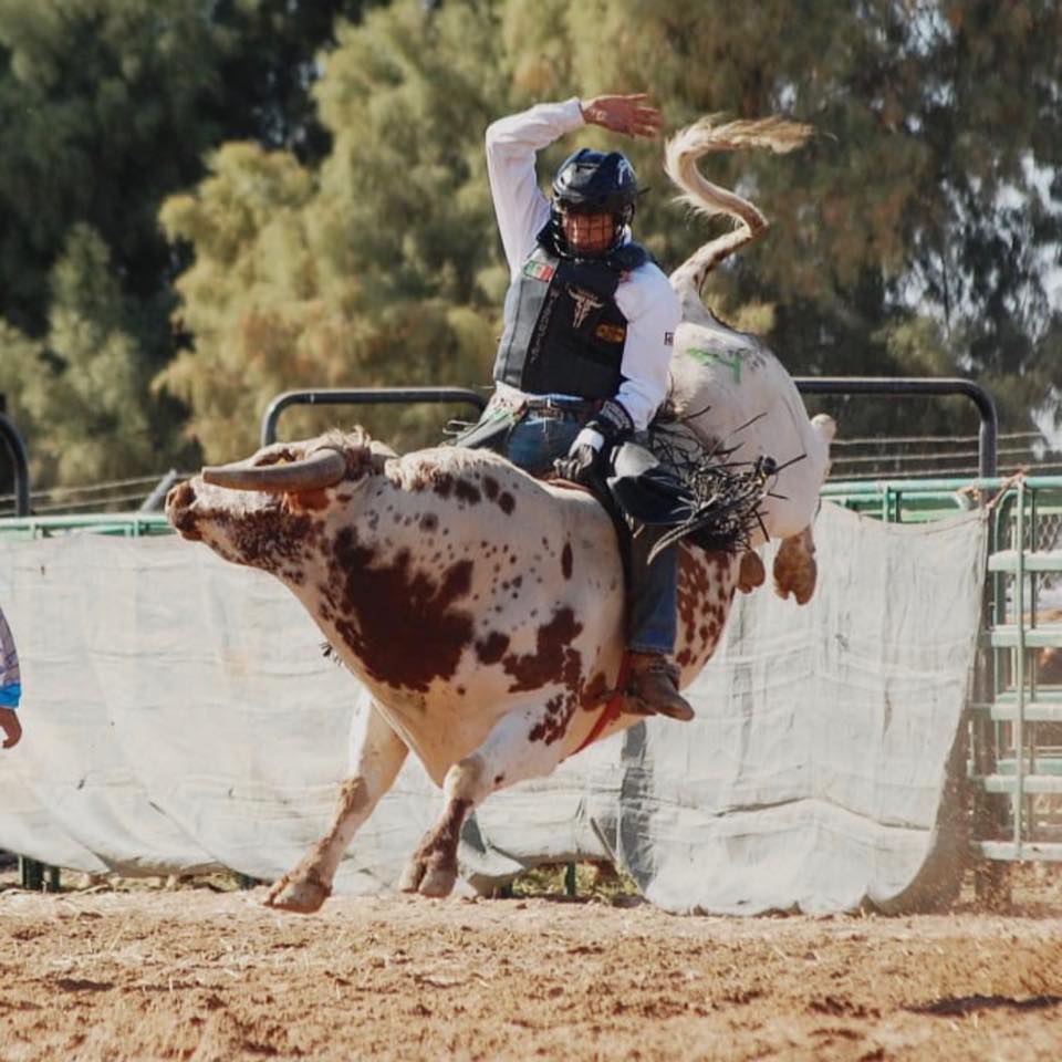 Rodeo Baja Leyendas - Llega nuevo refuerzo a Ganadería Cuernos Gachos ...