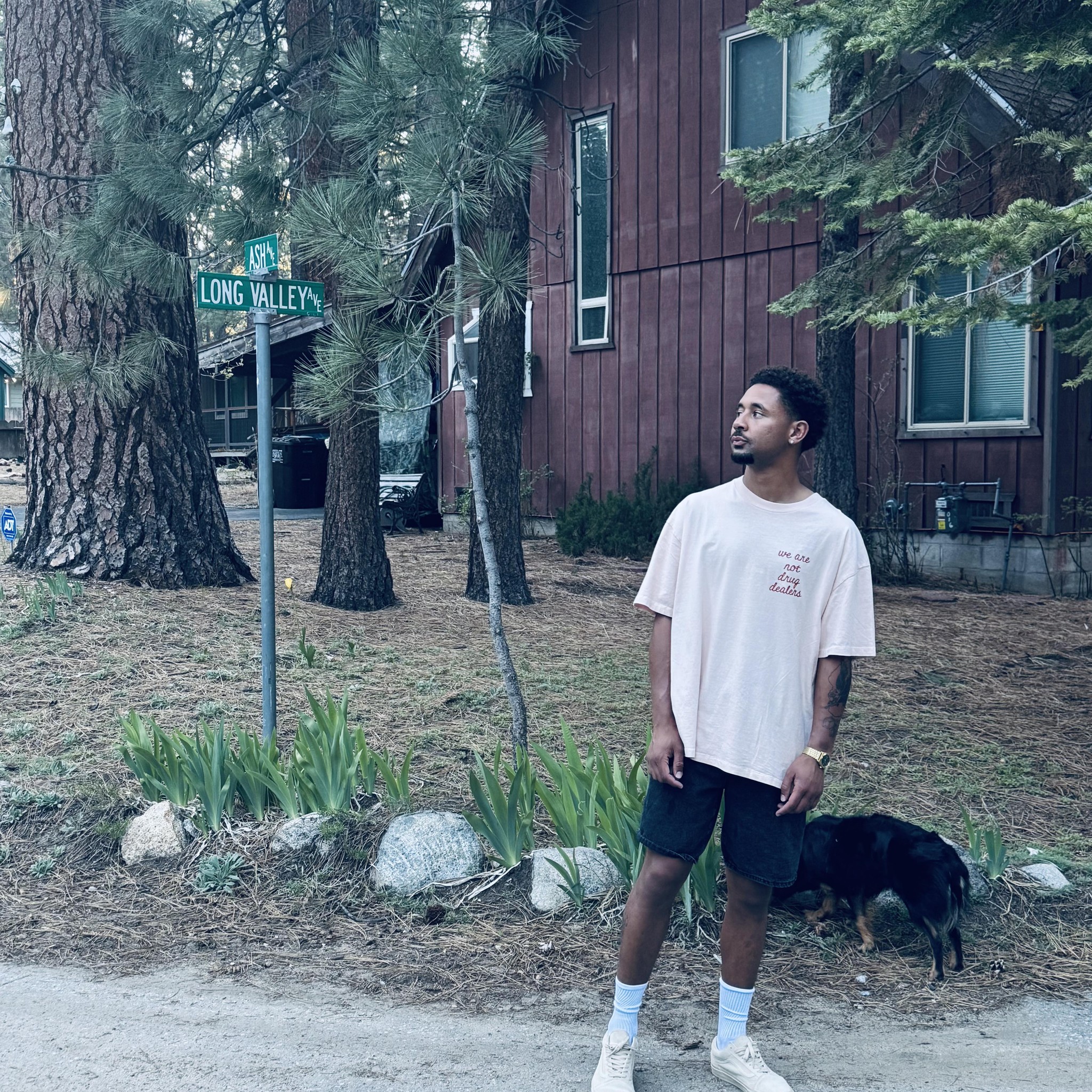 South Lake Tahoe | I was told that seeing the salmon spawning at Taylor ...