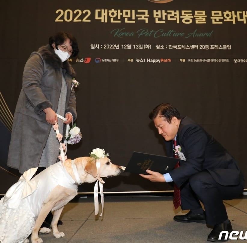여기도 저기도 ODA! 이젠 통일하자 :) #한정애국회의원 #외교통일위원회 #외교부 #ODA #무상원조 | 한정애