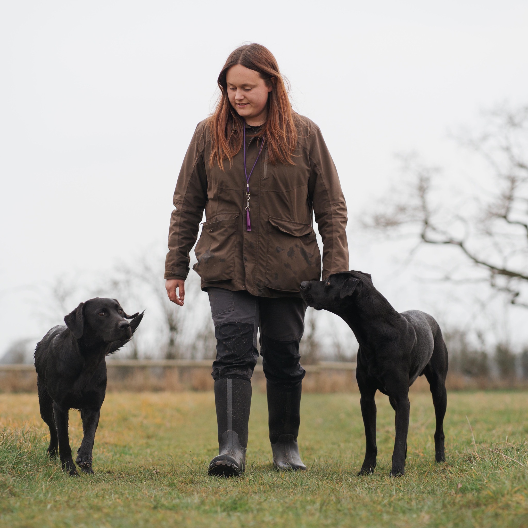 Working and Sport Dogs, Training UK | Looking for any experience of ...