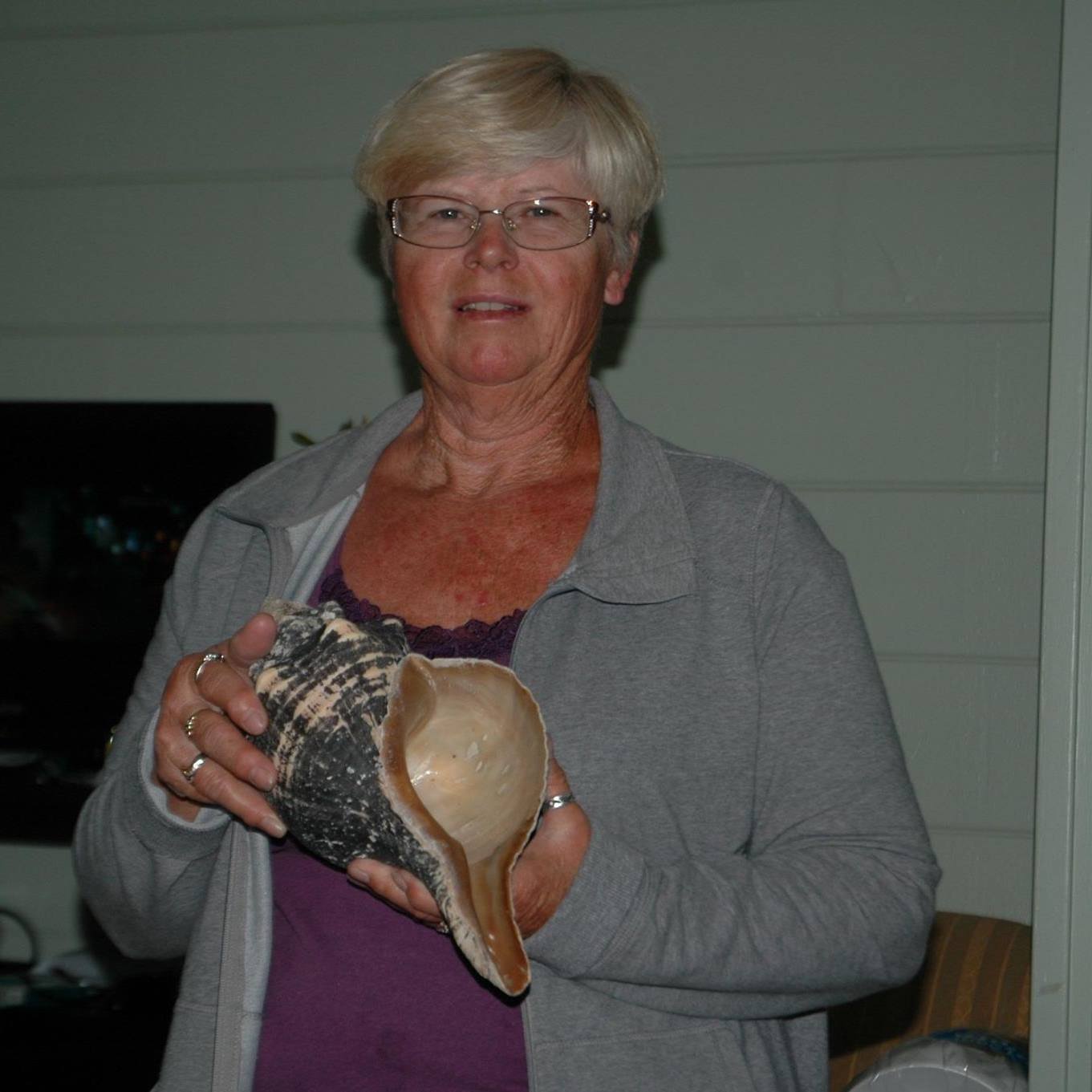Florida Shelling Fanatics! 🐚 | I love coquina shells | Facebook