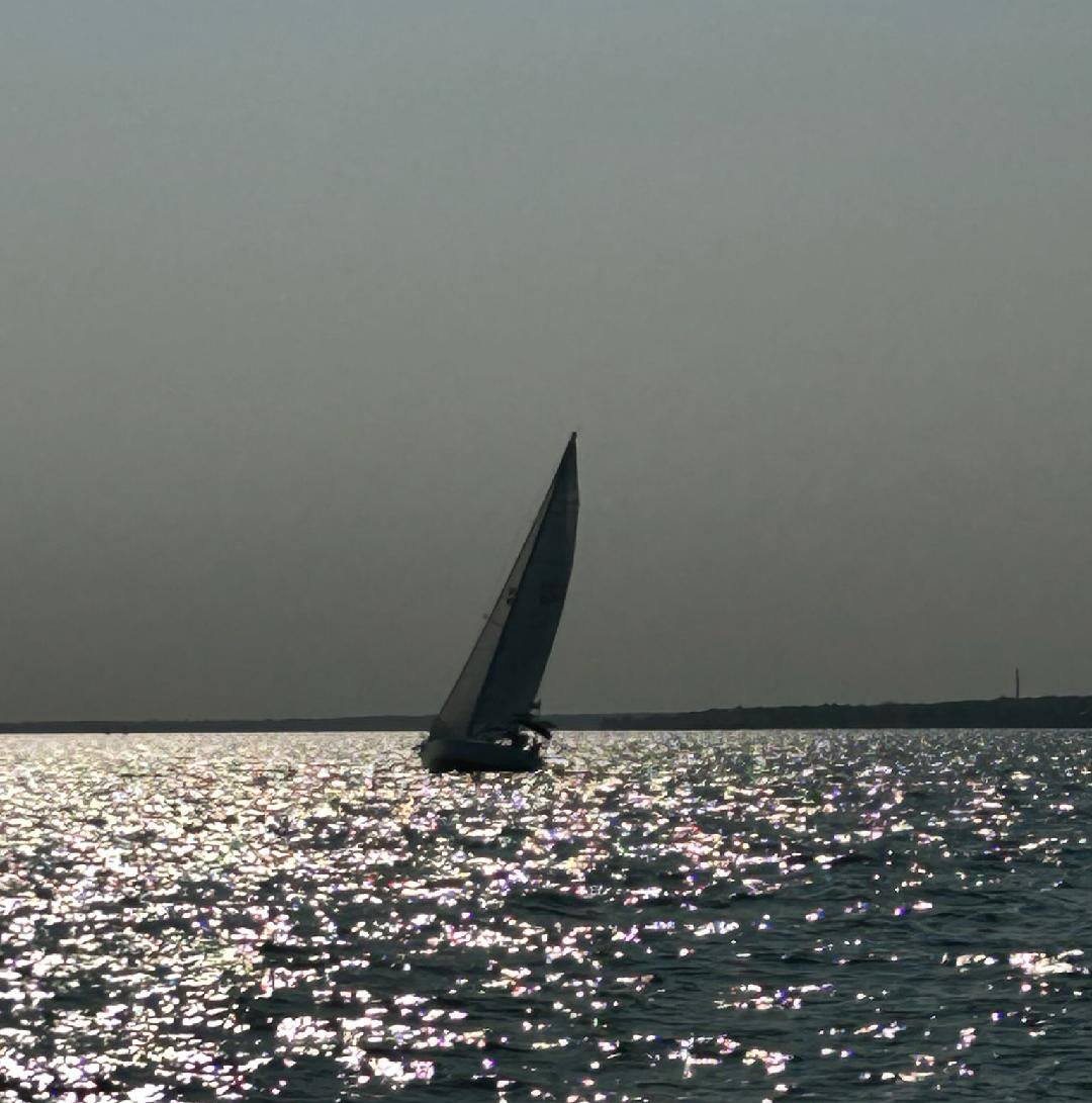 Morning Happy Hour on Ombré Rose | Randy Vogel