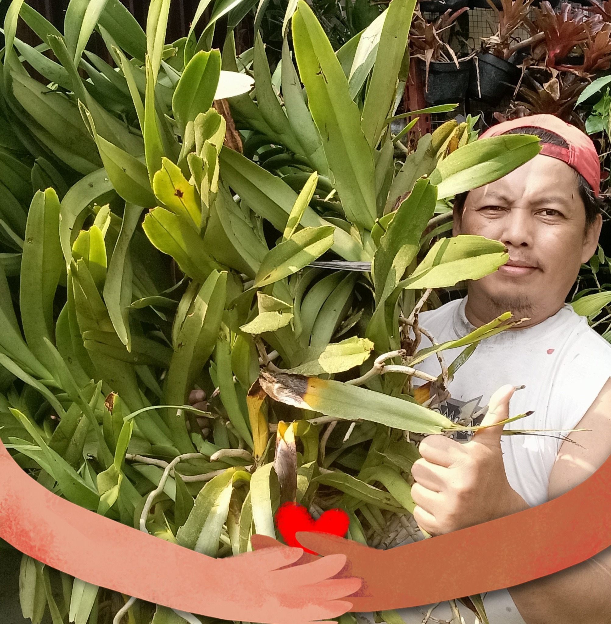 Indria Florist