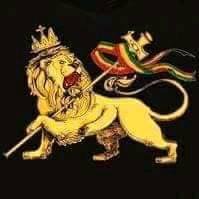 🌙 𓇳 To the ancient Egyptians, the night sky was not empty darkness. It ...