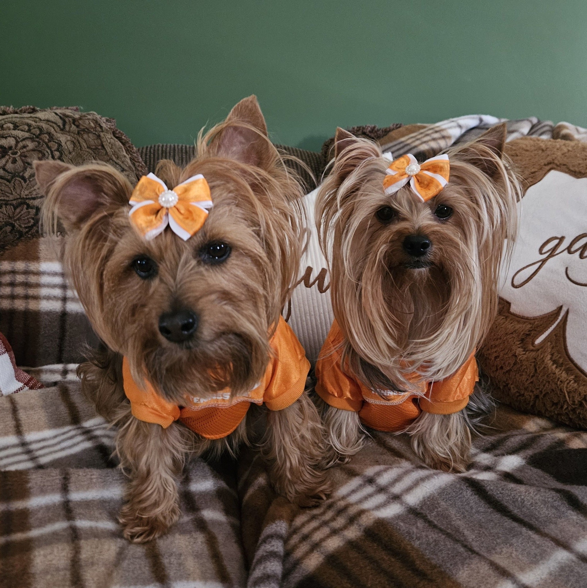 Real Fans of the Lady Vols Basketball Team | Facebook