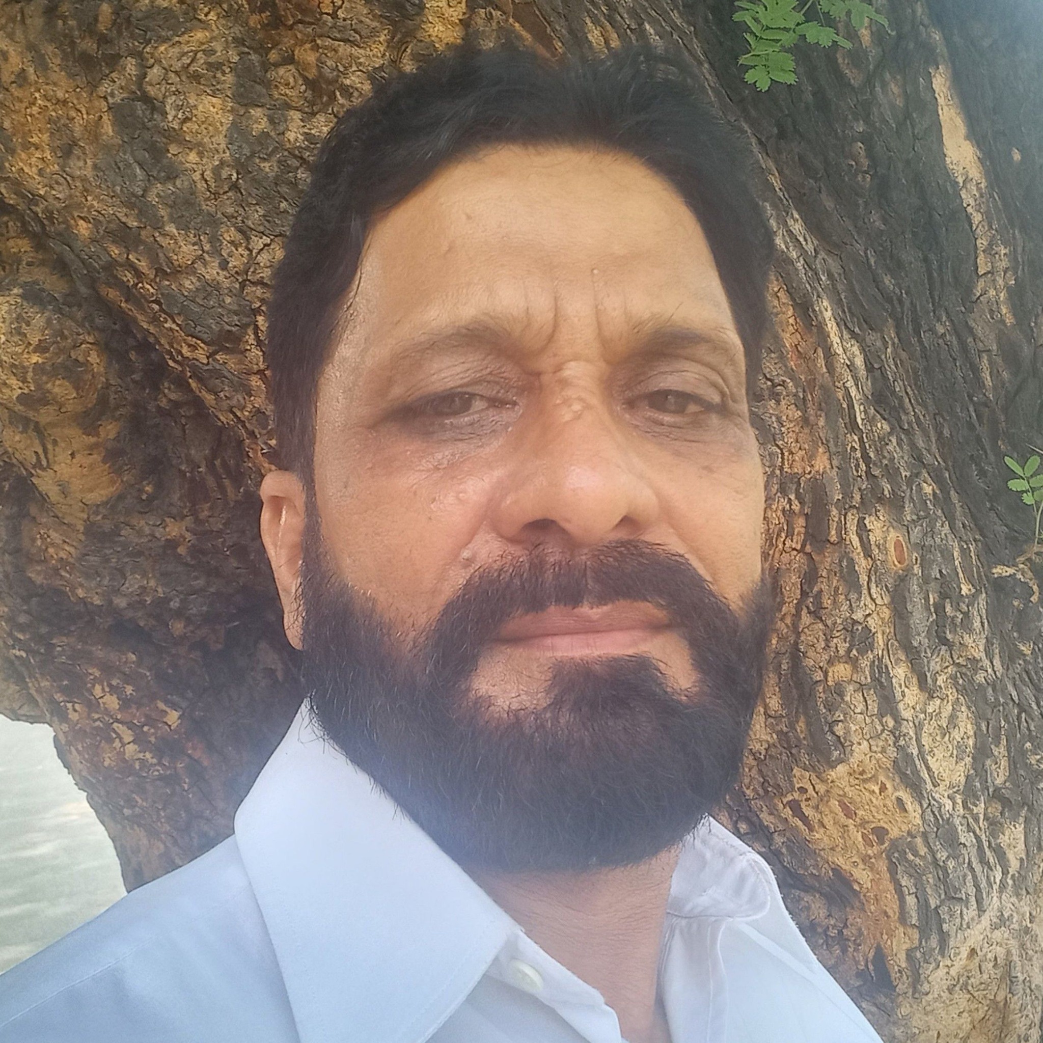 M Rasheed Mughal