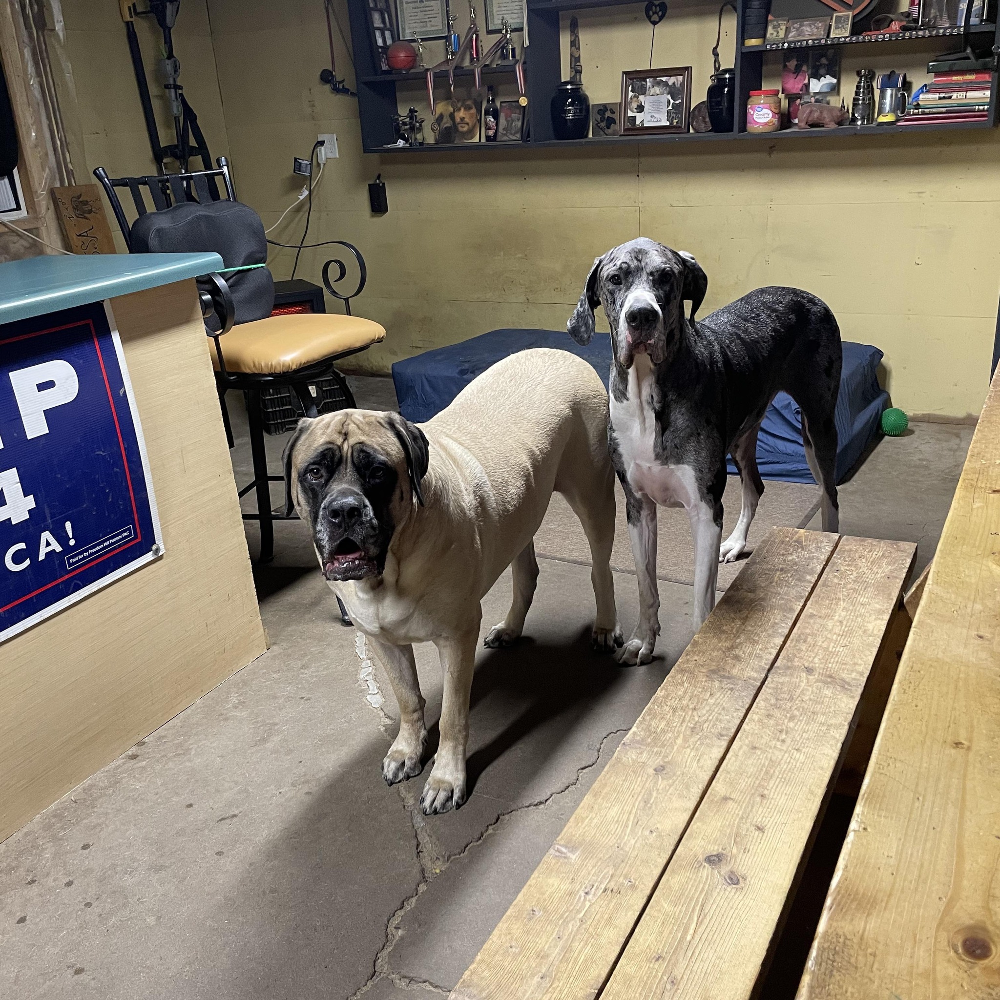 Reese Bertsch | Facebook