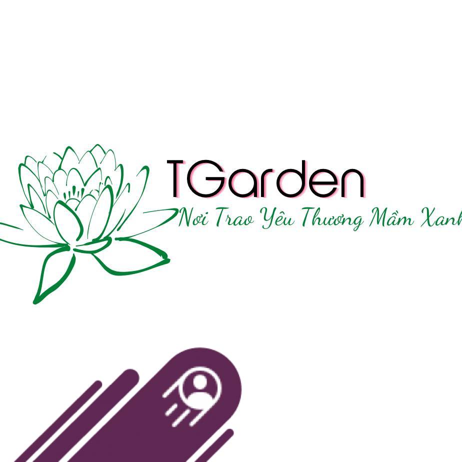 Caladium Nua Duang | Nguyễn Phương Thảo