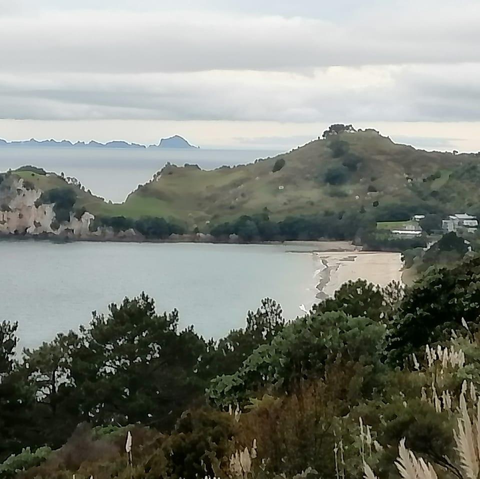 Democracy - Hobson’s Pledge welcomes New Zealand First’s call for a ...