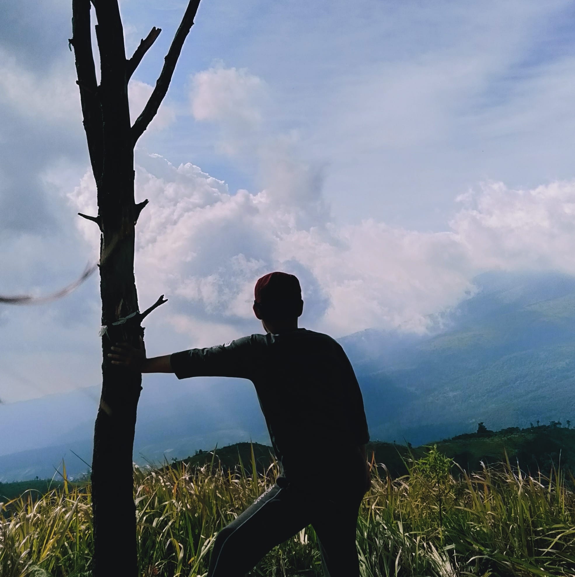 Blender Army Indonesia | #ask teman teman izin bertanya, fungsi dari ...