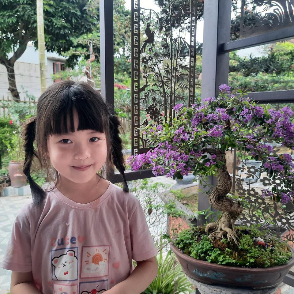 Bạn đã biết tác dụng của cây tía tô chưa? #Tiato #xuhuong # ...