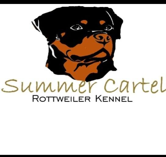Rotti Summer