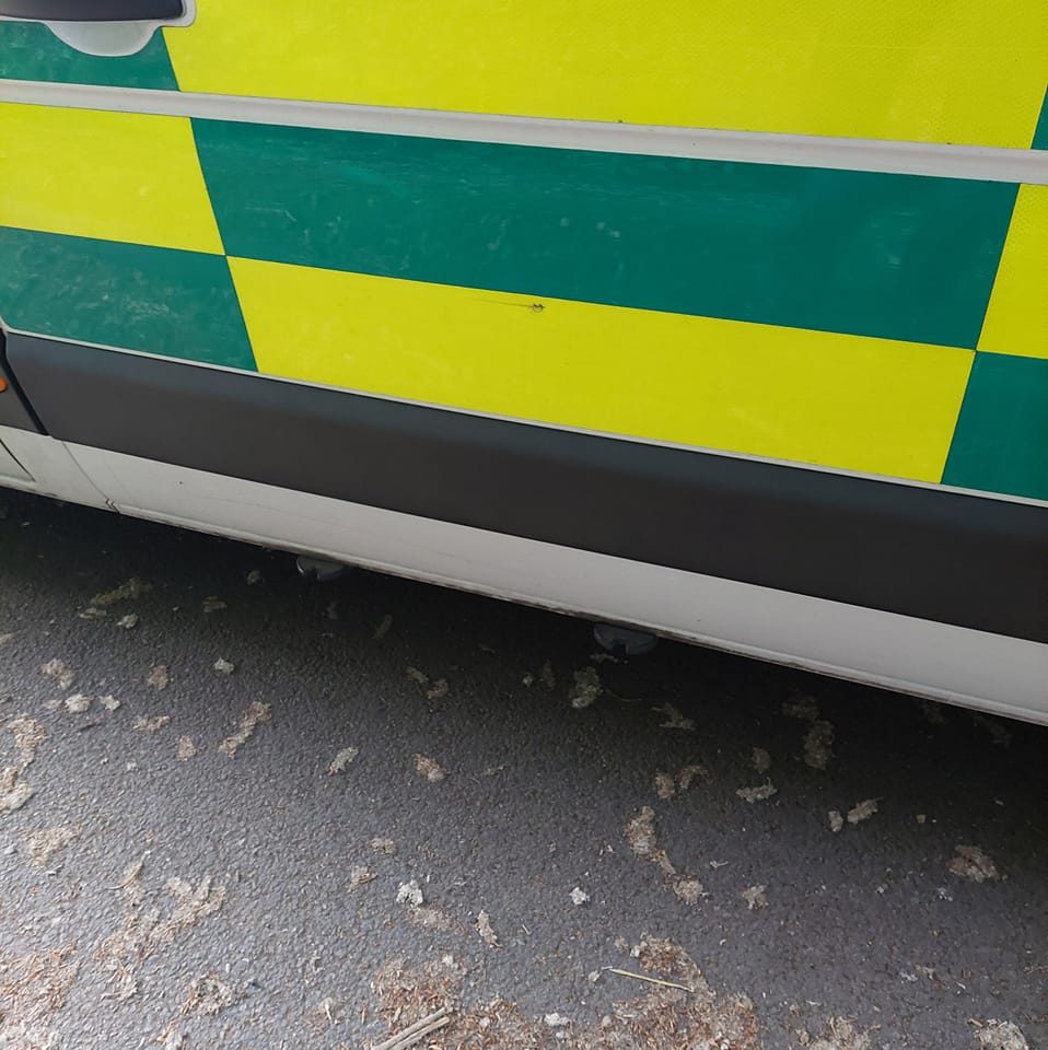 Rustington Village News | Facebook