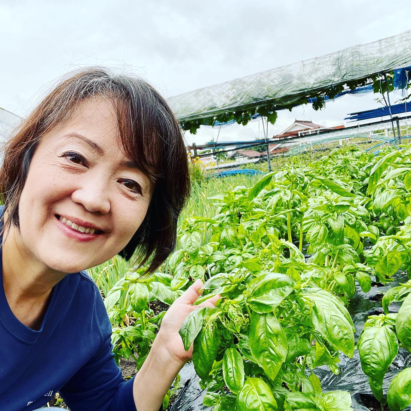 Atelier Plus Botanical (@kaori.shimizu.96780) • Facebook