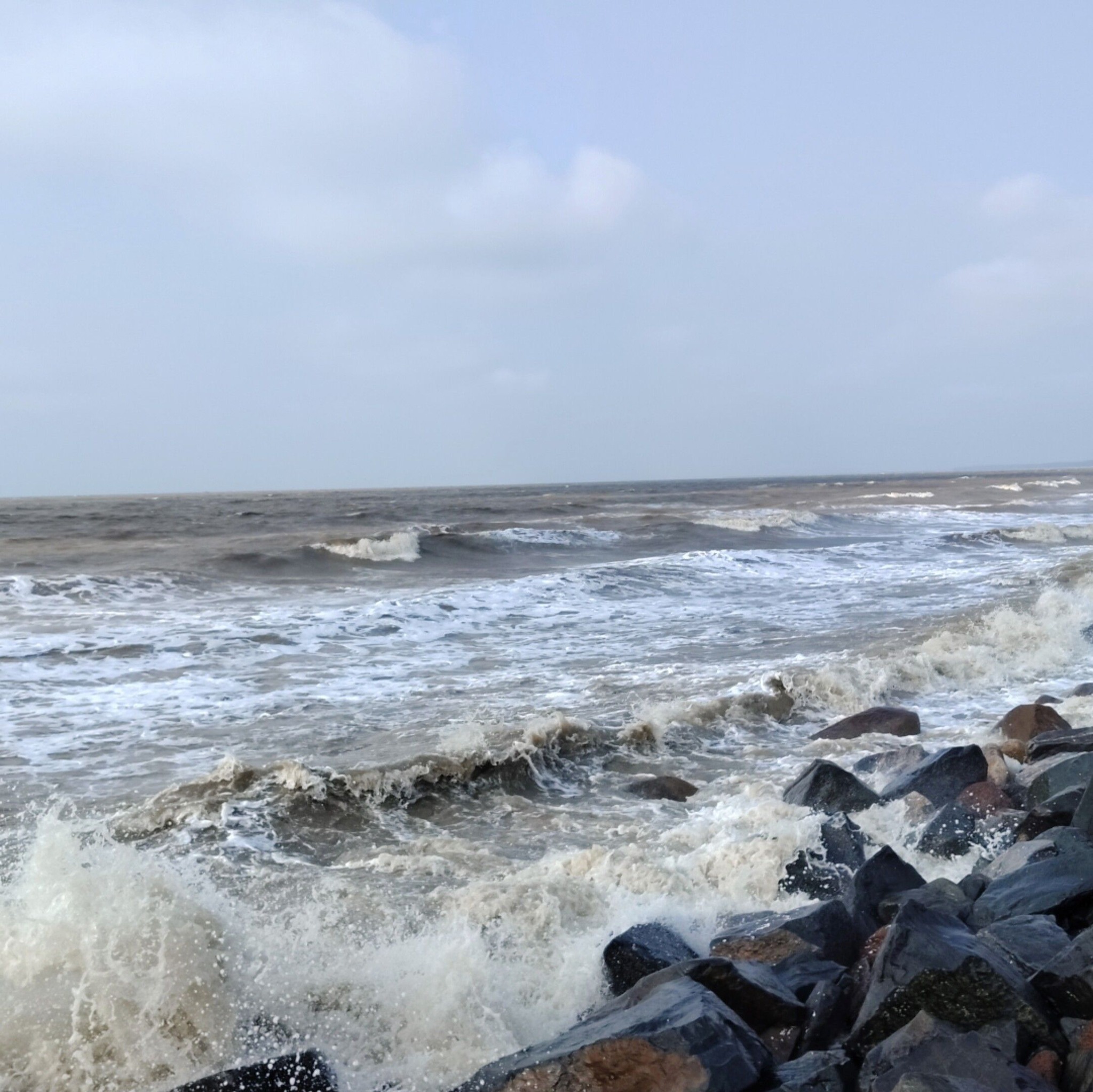Rejaul Sk
