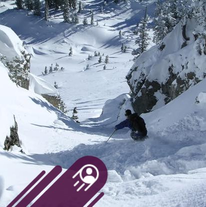 Joe Timko