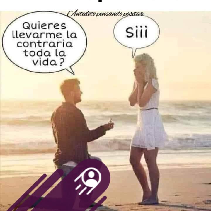El libro del Dr Nemecheck no solo por su protocolo sino todo lo que ...
