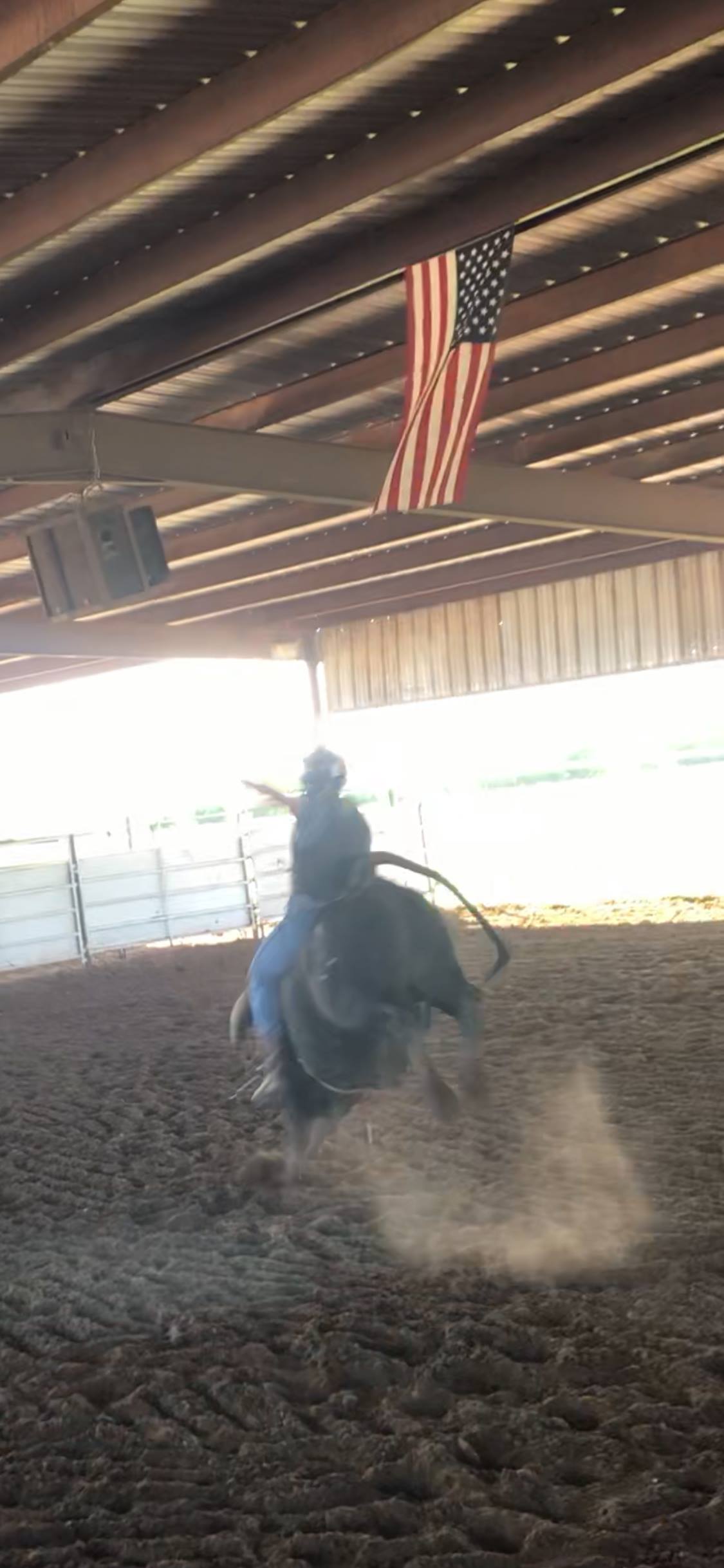 Team Roping Horses Under 30k | Facebook
