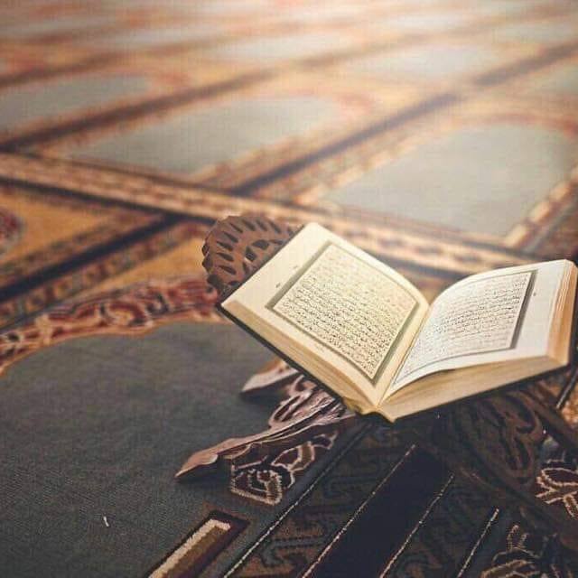#بتاع_مصلحته…! | Sayed Rabie
