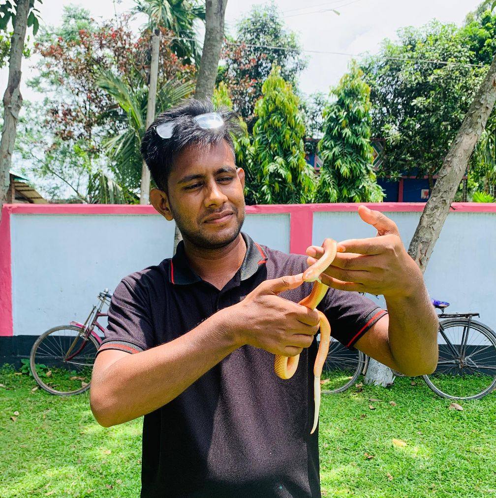 It got stuck on the net. Snake Id please. And is it venomous? Location ...