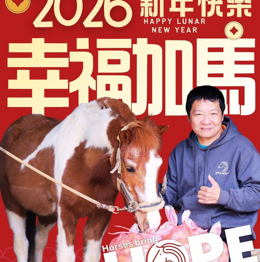 噓！星聞 - 全台都在問「吳麗萍是誰」😂 #張惠妹 台東跨年玩空耳「吳麗萍你好像搭丟賽」全場暴動狂嗨... | Facebook