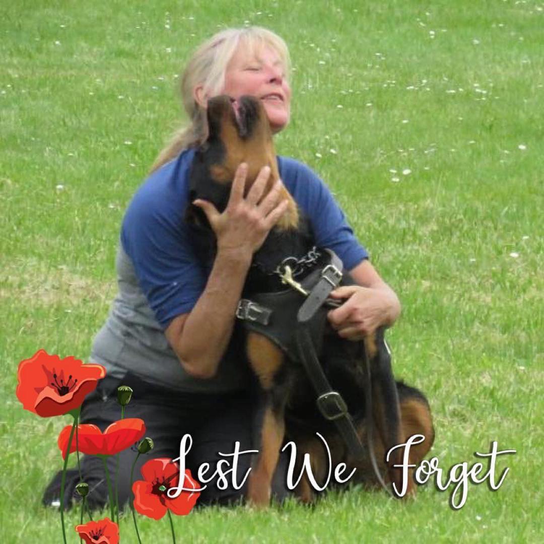 Rotties In Need | 🔴At 10 years old, Abbie lost the only life she knew ...