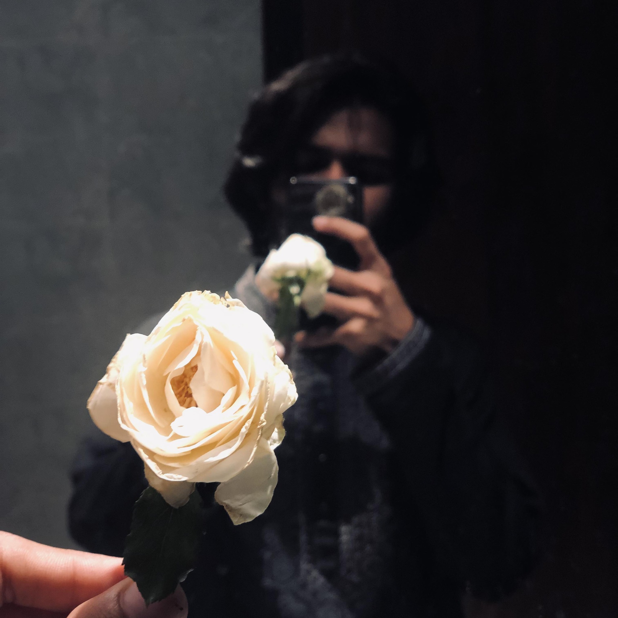 Rizvi Shah