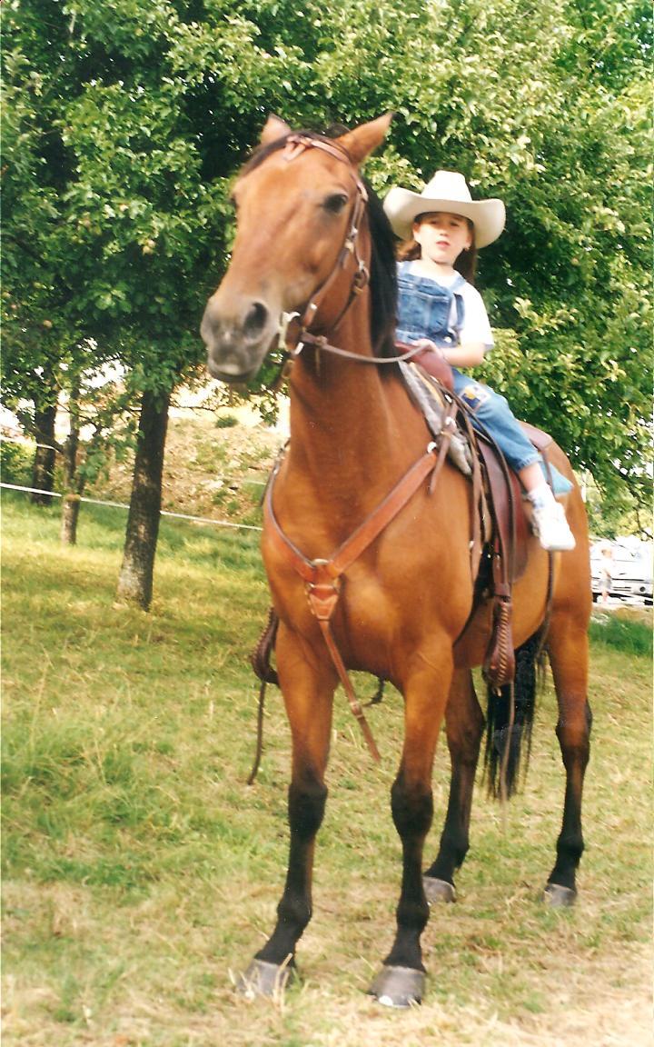 Ranch Riding FFE amateur 1 Equivalle Albe Wimpys Little Jac entier de 4 ...
