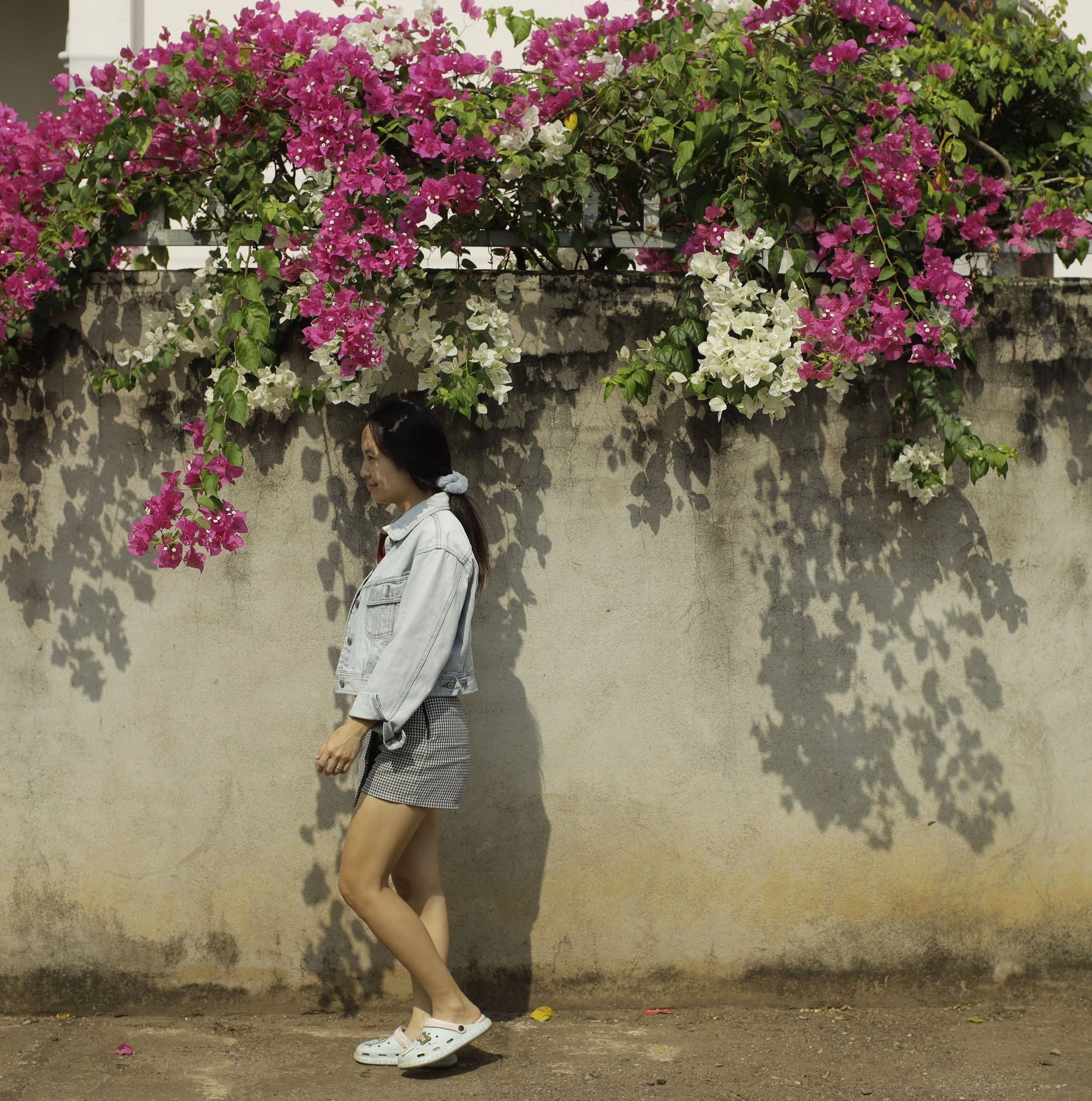 THÍCH TRỒNG CÂY | Các bác ơi. Trồng chanh dây có rắn xanh không / mình ...