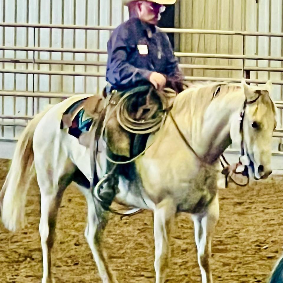 HARLAN - Breeders’ Bulletin Board | Here’s one that might be worth ...