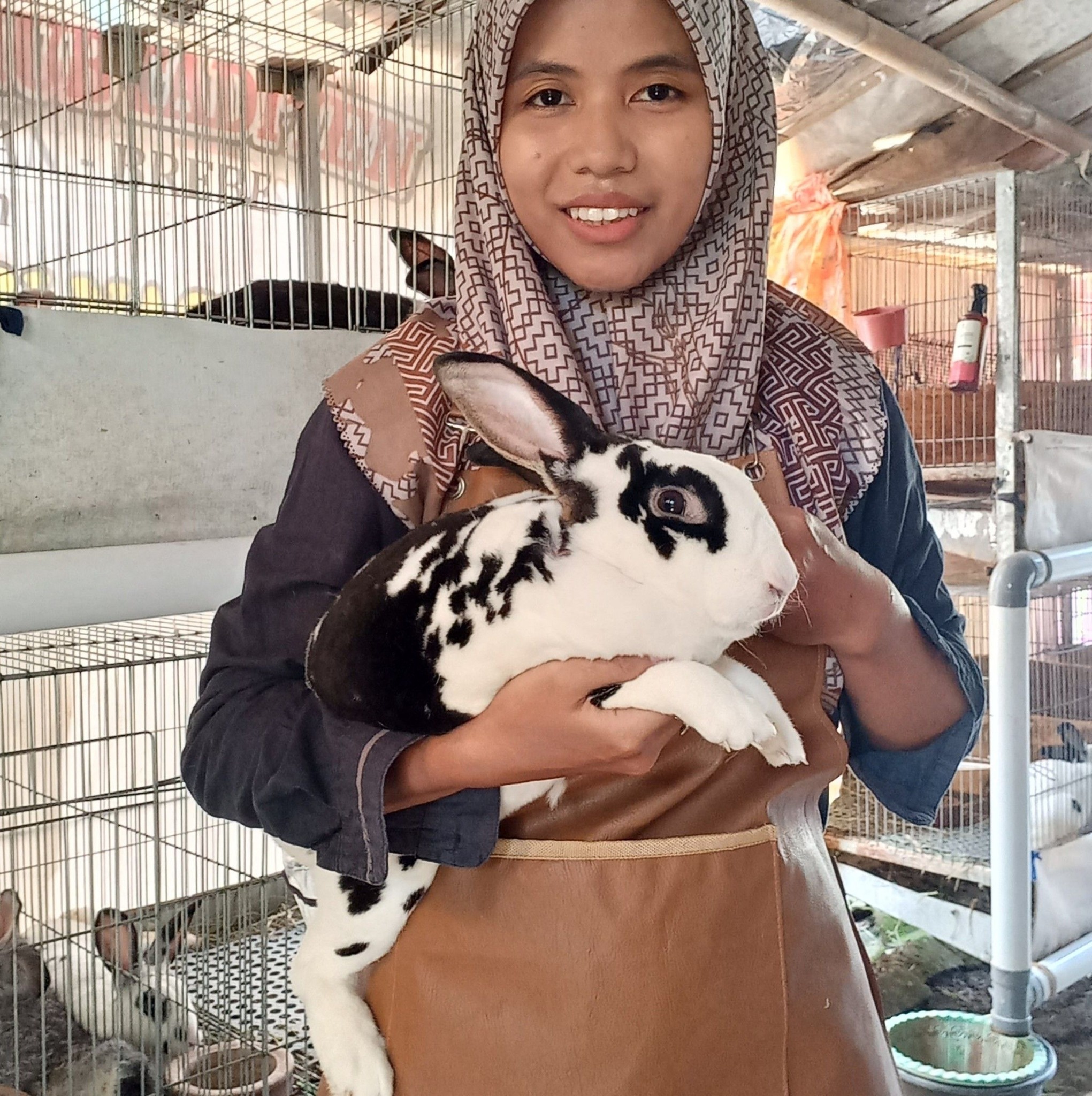 the natural instinct of a mother rabbit about to give birth ️🐰 #animals ...