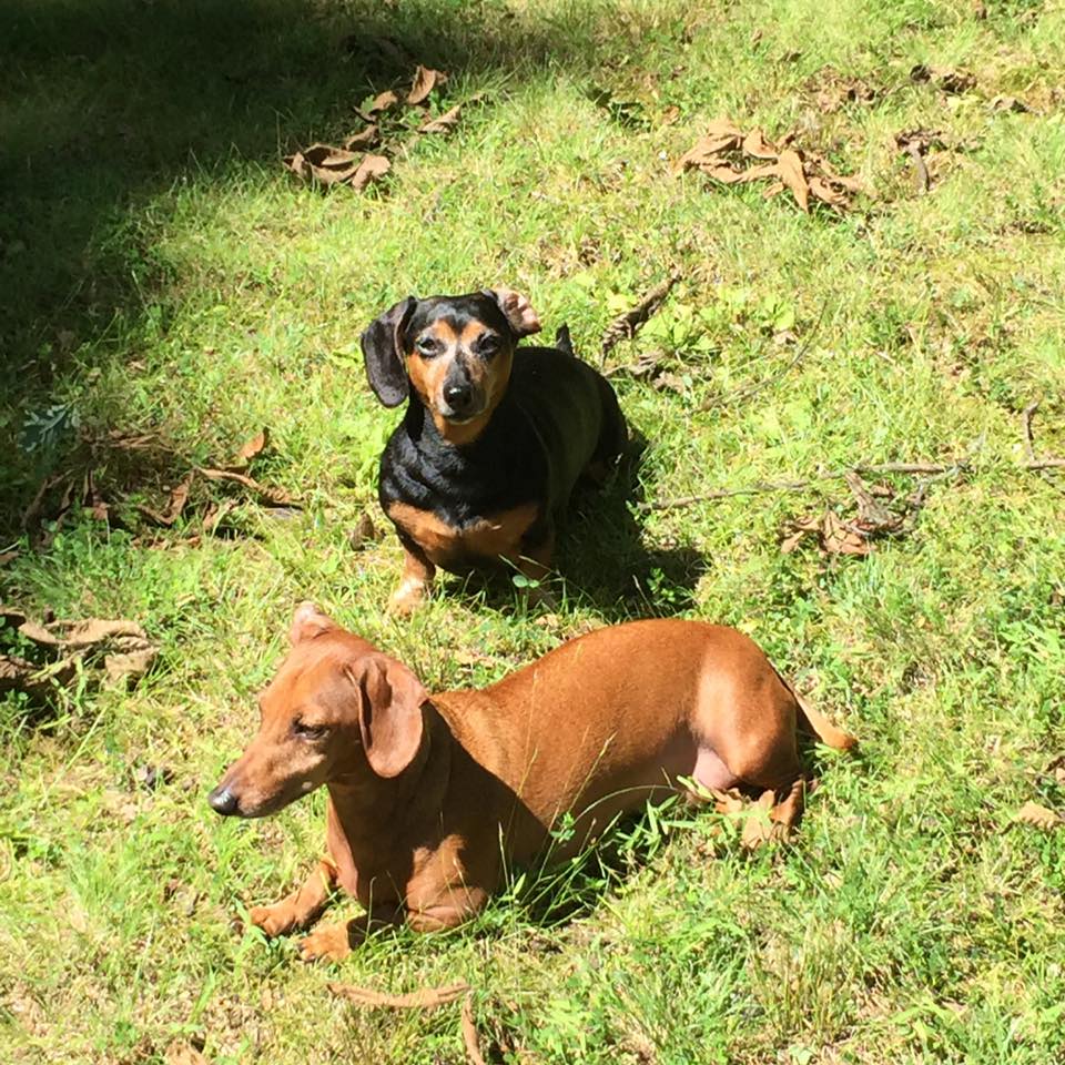 MAGACHUSETTS FOR TRUMP | Facebook