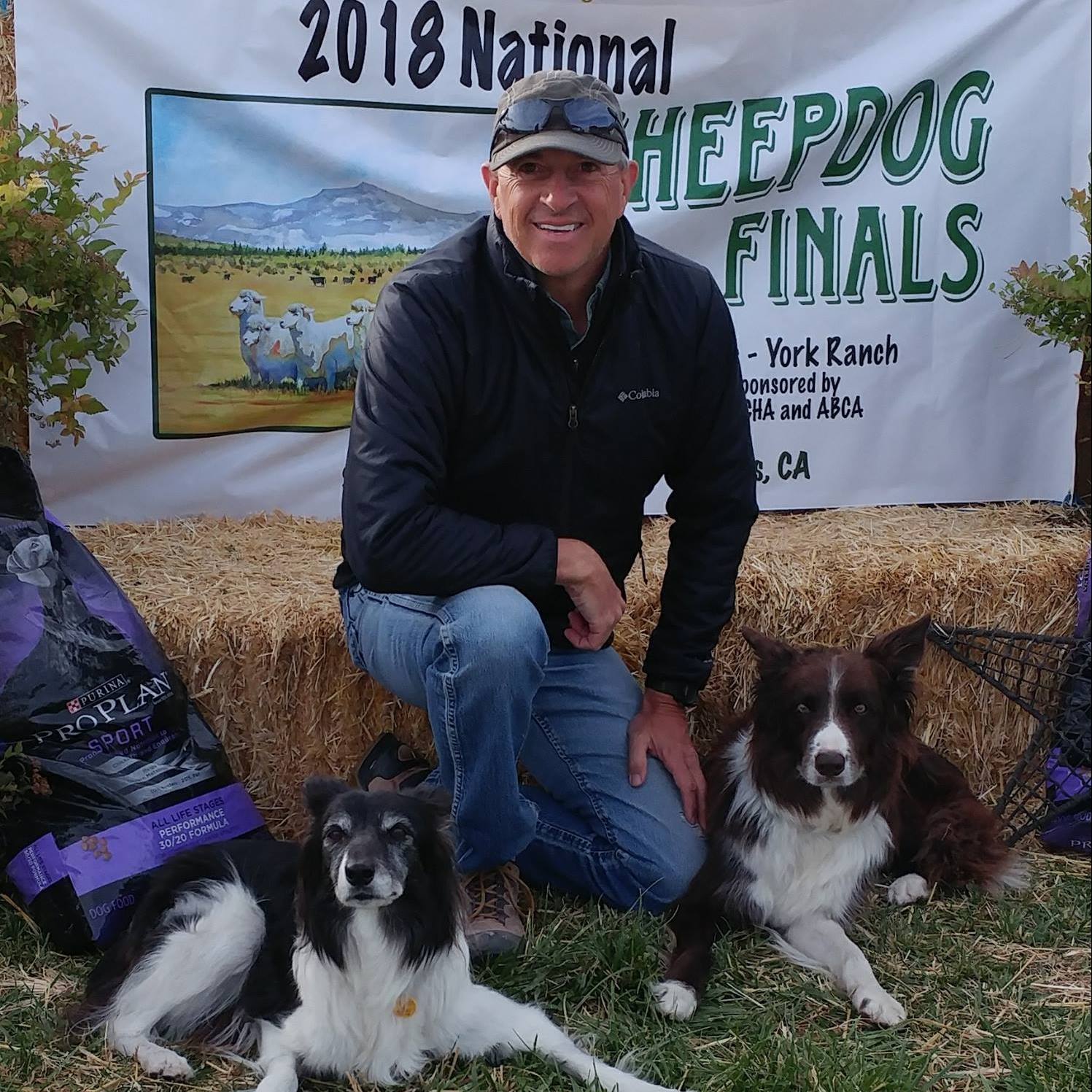 Herding Dogs - Trials, Competitions & Clinics | https://www.iherd.org ...