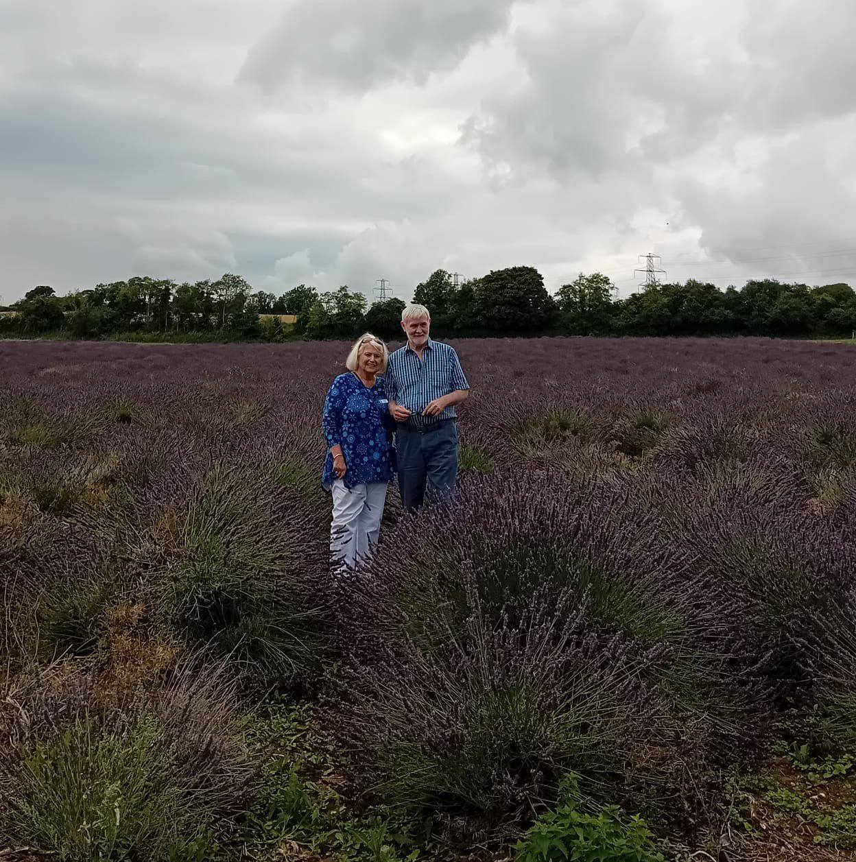 Rye & Winchelsea Community Chat | Anyone know who owns the inkerman ...