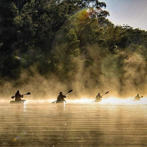 The EDEN VOICE | Today the southern end of Aslings Beach has red water ...