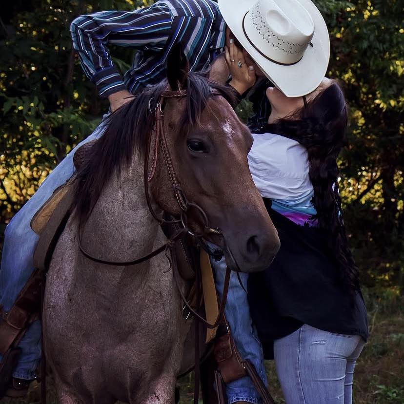 Team Roping Horses and Prospects | If you’re looking for a solid ...
