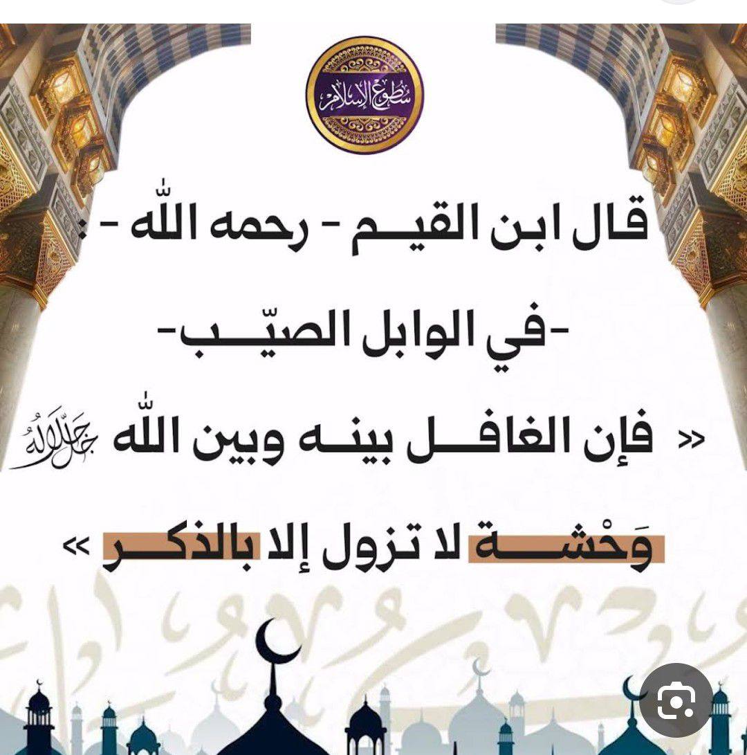 01111779351