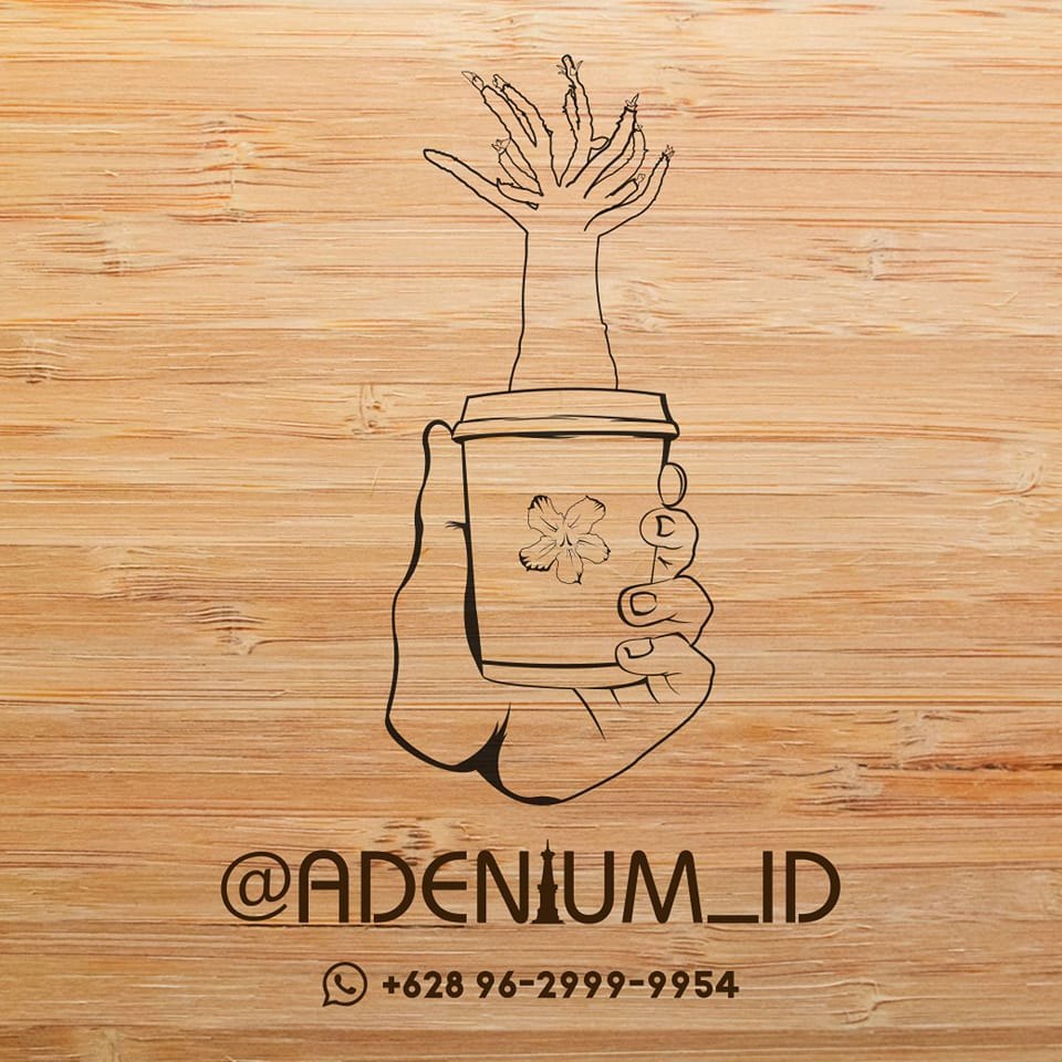 ID Thaisoco 🌸 #adeniumid #adenium #flowers | Adenium ID