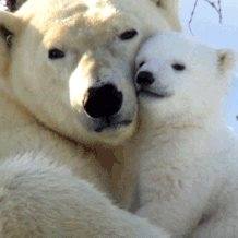 Un cuore a spasso | Facebook