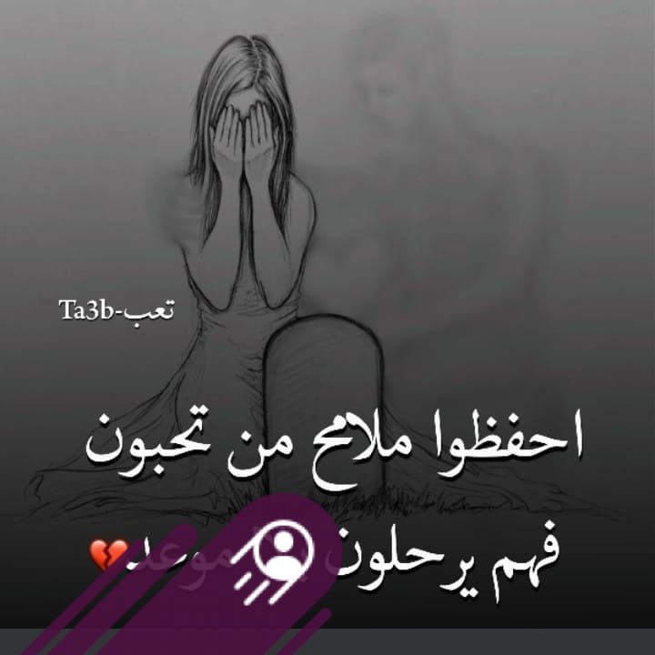 Saif - عادَ لهَا الحَنين ذَاتَ مَساء فجلست تَرسمُ عِشقهَا وتقول 