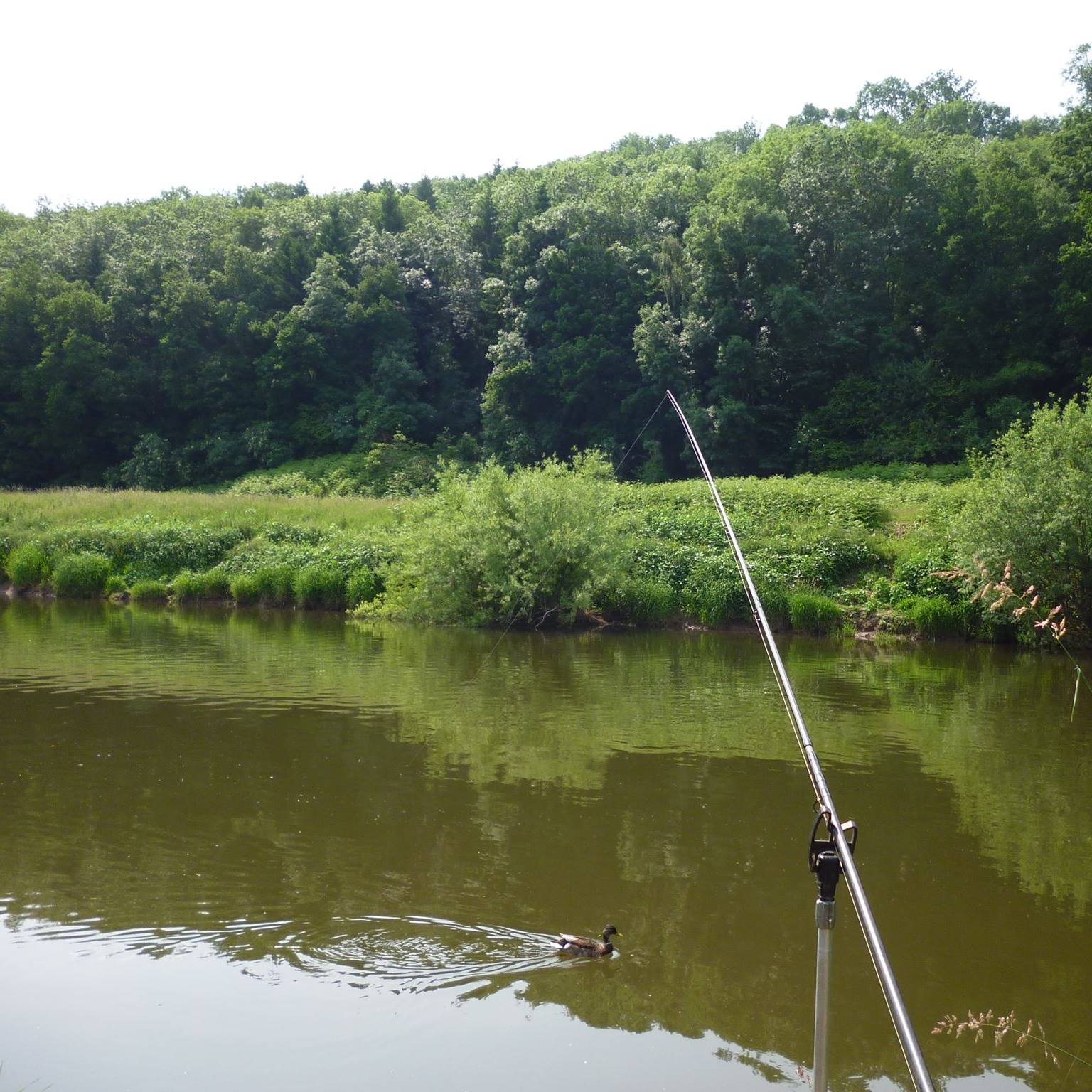 Fishing In Worcestershire | Hi does anyone know what bait rules there ...