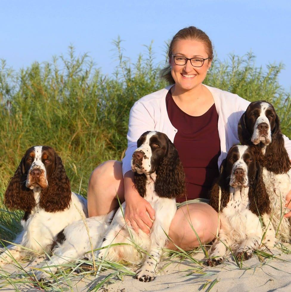 Northern English Springer Spaniel Society | Facebook