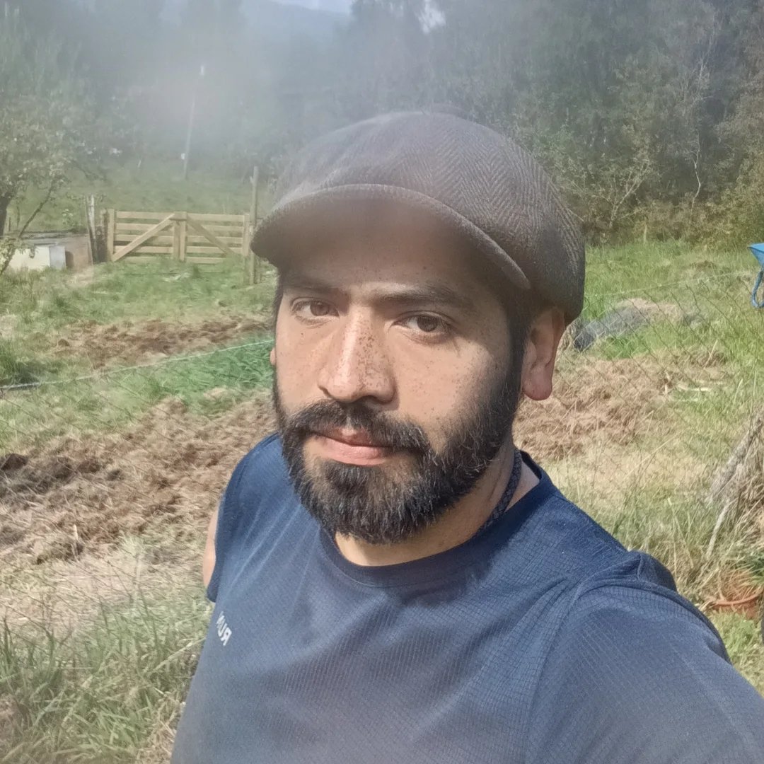 Wolframio Chilensis