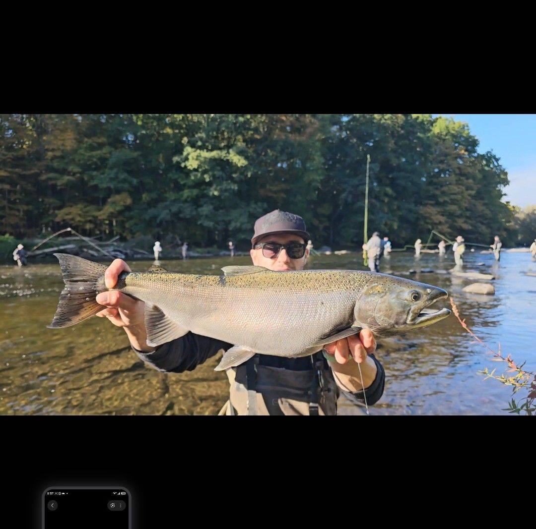 Afternoon beat down… 🔨🔨🔥🔥 . . . Douglas Spinning and Casting Simms ...