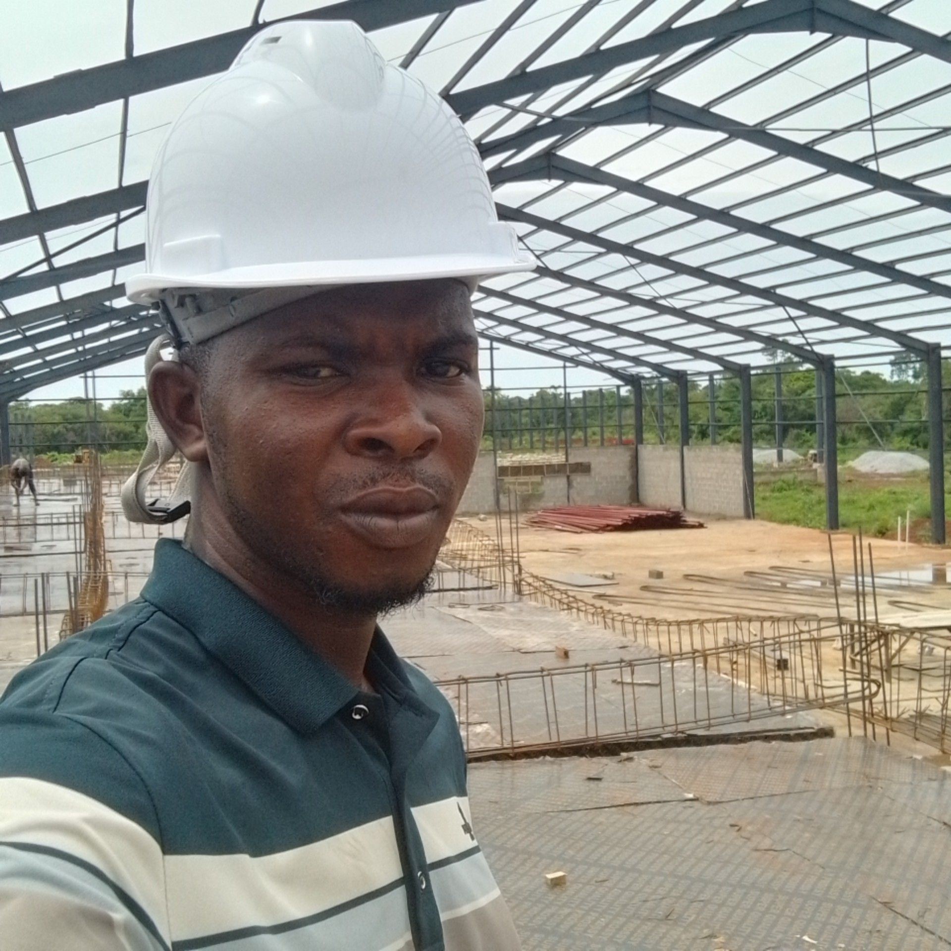 Ismaila - his chart illustrates Shear Force Diagram (SFD) and Bending ...