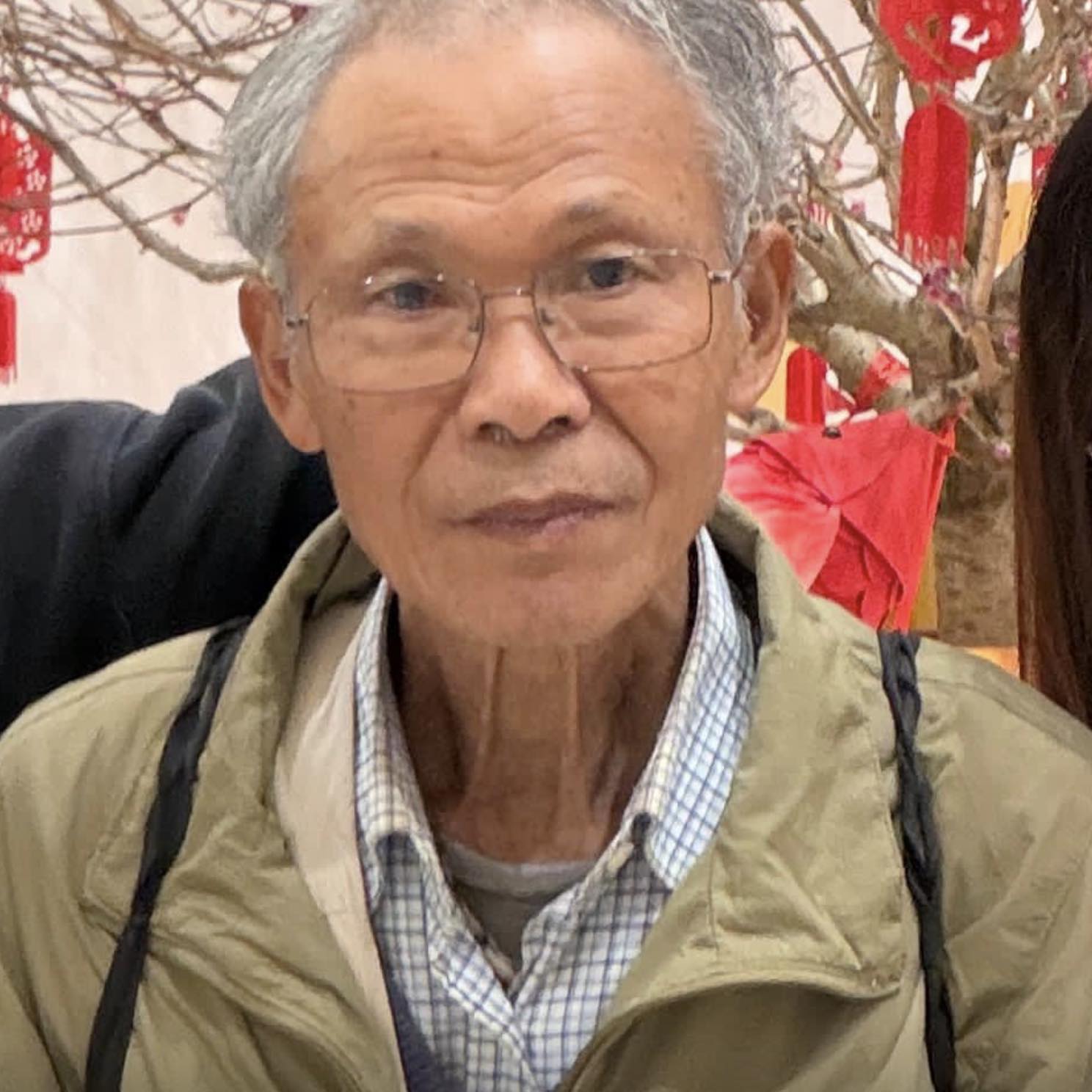 請問呢兩條係咩蟲 ？ 夜晚見到食緊薑葉 ， 朝早見用葉包住自己。 | Facebook