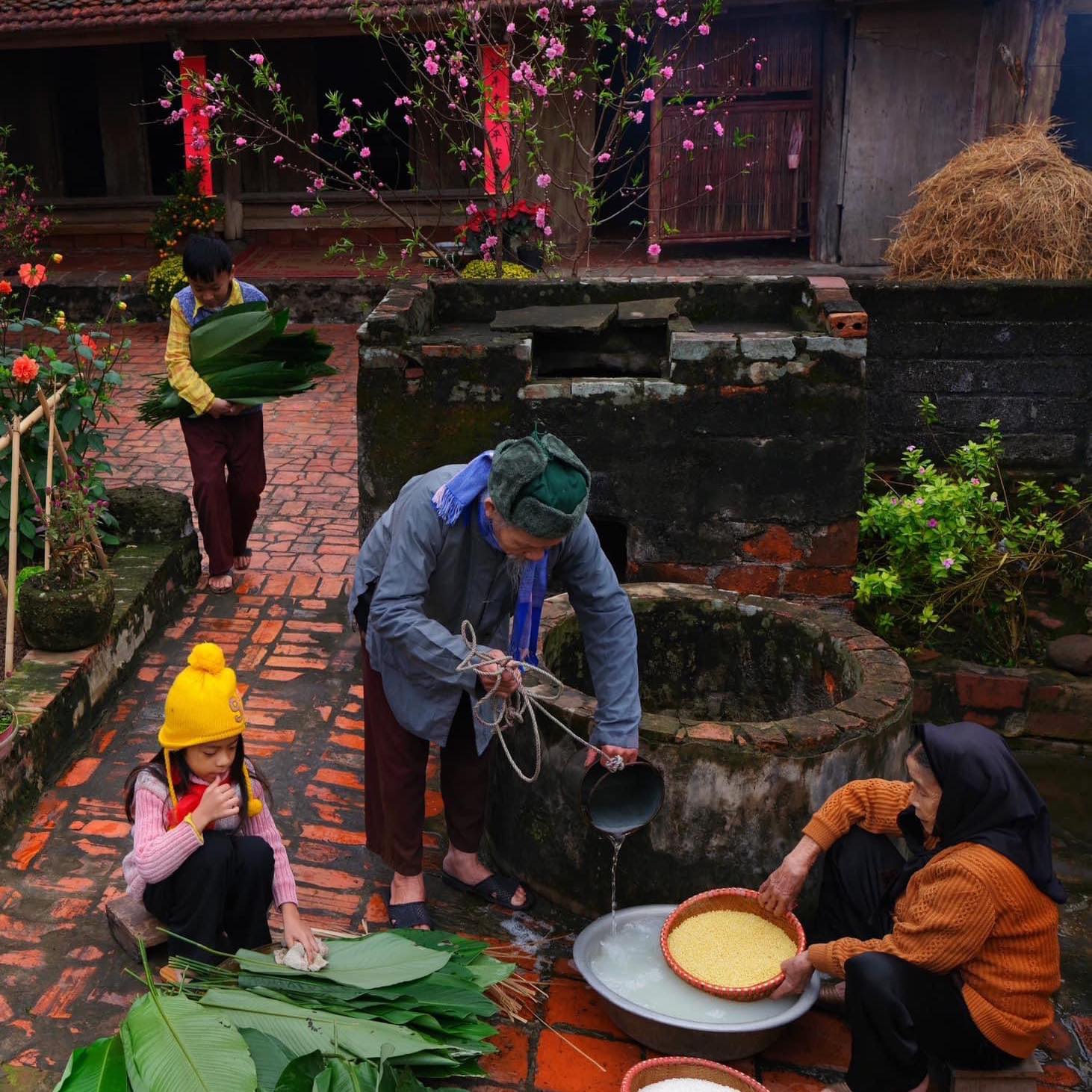 Khủng long bạo chúa! | Facebook